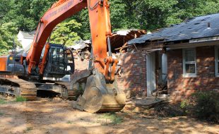 Termites can cause damage to homes