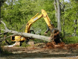 Vienna Virginia tree infill construction accident