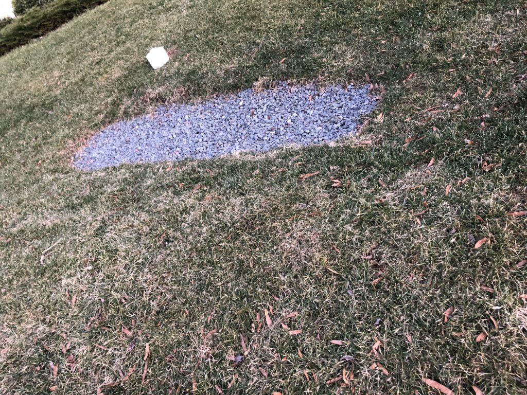 Stormwater retention area in a front yard in Vienna VA